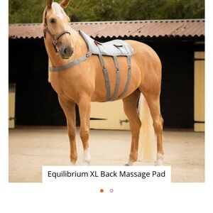 XL Back Massage Pad - Gray